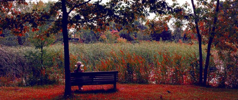 lens culture editors’ pick 2023