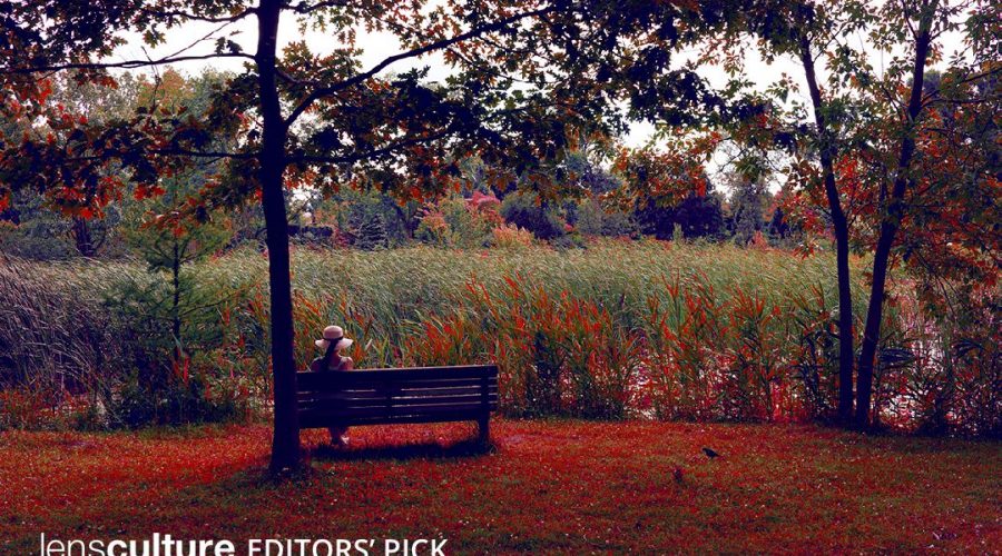 lens culture editors’ pick 2023