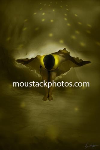 61