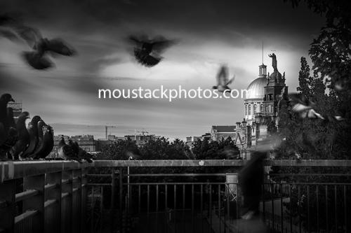 _DSC3120