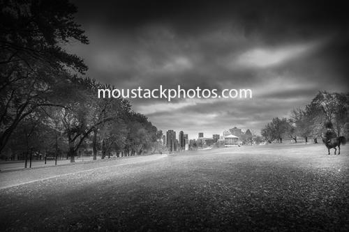 _DSC4926