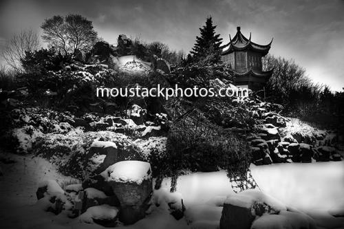 _DSC5543