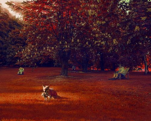 exhibit-le-renard-Copie