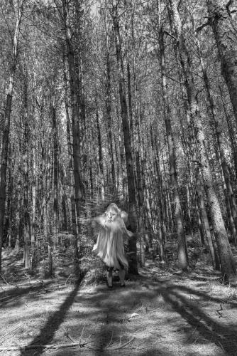la-foret-enchantee2