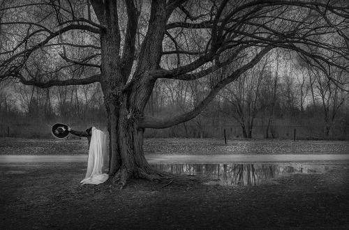 le-moi-arbre-chien-2