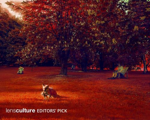 lens-culture-editors-pick
