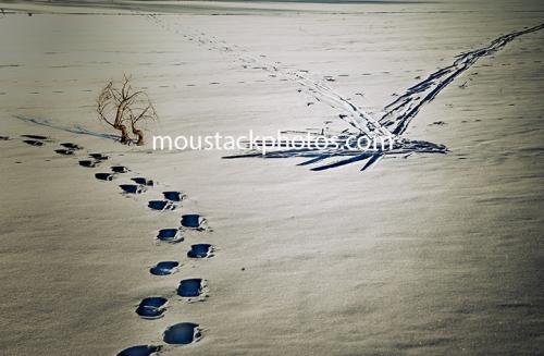 snow